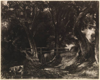 Dell in the Woods of Helmington Park, Autumn (after drawing by John Constable)