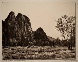 Cathedral Rocks, Yosemite Valley