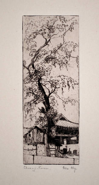 Sacred Ginko Tree in Choanji Monastery