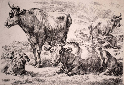 Group of Cows and Sheep