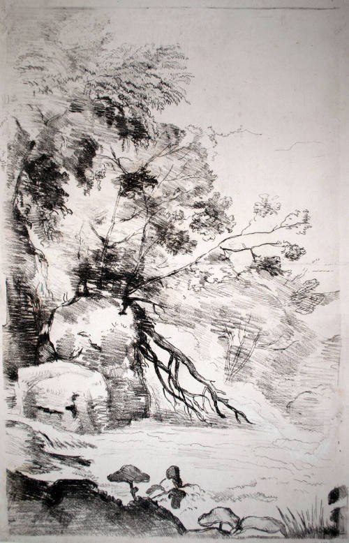 Study of Trees By a Waterfall, Possibly Near Tivoli