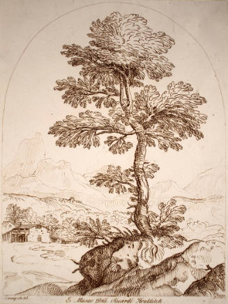 Mountain Landscape (after Domenico Campagnola)