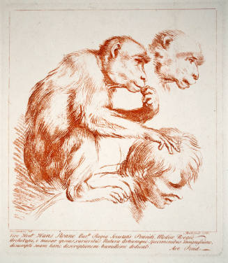 Study of a Monkey on a Man's Shoulder (after Annibale Carracci)