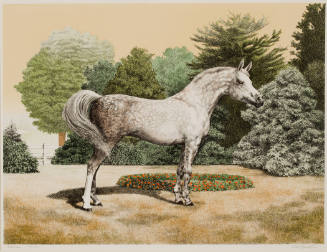 Horses, Portfolio of 10 Lithographs