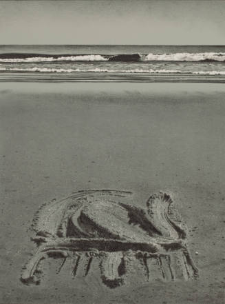 (d) Sand Drawing No. 24 (Sand Drawings)