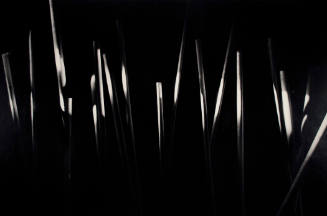 Light Experiment: Wooden Dowels, Chicago 1939