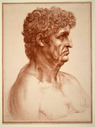 Head of a Man in Profile (after Leonardo da Vinci)