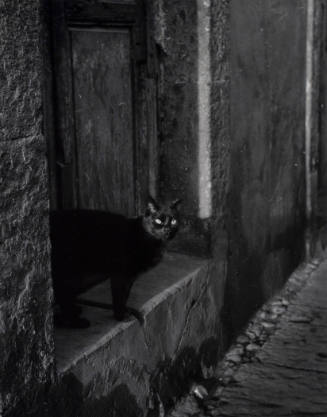 Untitled (Cat in Doorway)