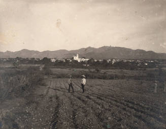 Untitled (Four men in a field)