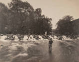 Untitled (Four men in a river, Mexico)