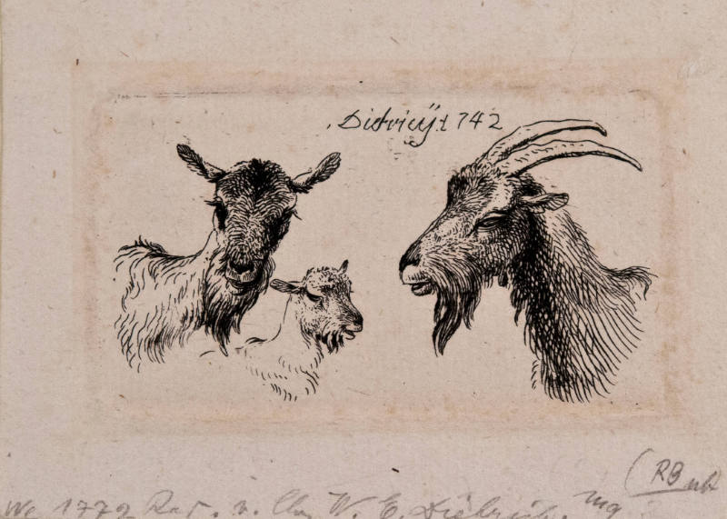 Untitled (Three Goat Heads: A Family)