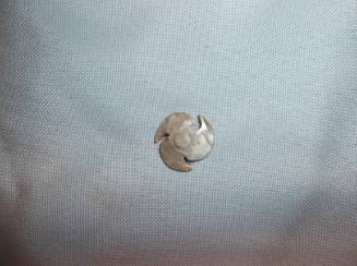 Spindle Whorl Ornament or Button