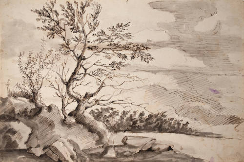 Landscape with a Tree (recto), Sketch of a City View with a Domed Church (verso)