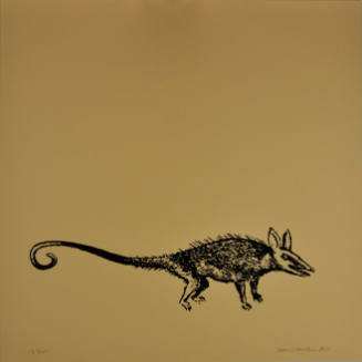 Untitled (Black rat)