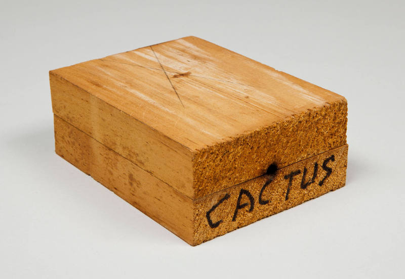 Casting mold: Cactus