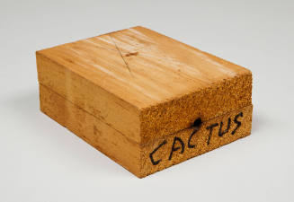 Casting mold: Cactus