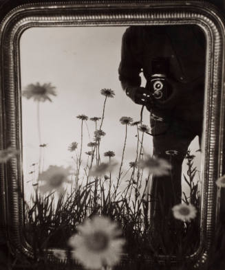 Untitled (Self-portrait, with Camera, Mirror and Daisies)