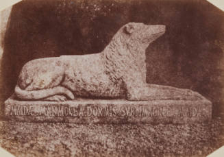 Effigy of Sir Walter Scott's Favorite Dog Maida by the Side of the Hall Door at Abbotsford