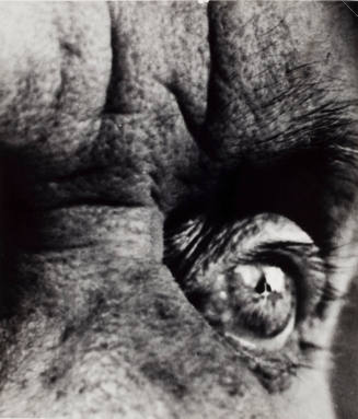 Max Ernst's Eye
