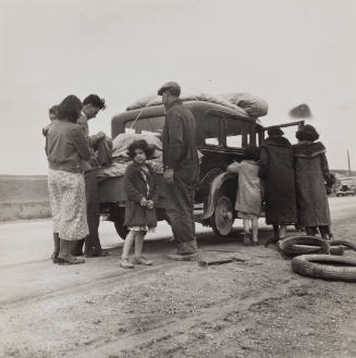 U.S. 101 - Migratory Pea Pickers near Santa Maria, CA, February 1936