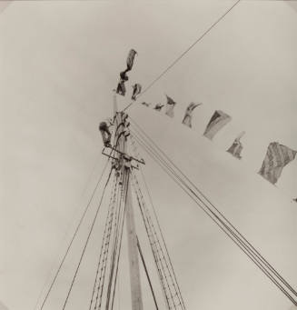 Flag on Mast
