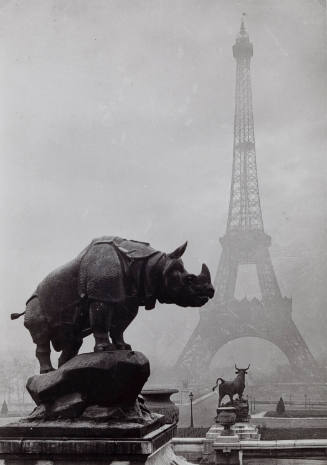 Rhinoceros and Terrace of the Palais du Trocadero