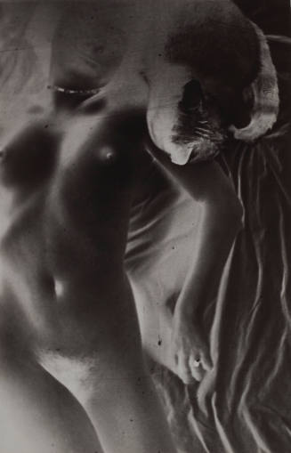 Untitled (nude with cat)