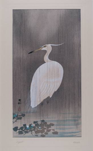 Egret in the Rain