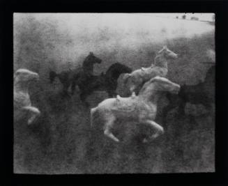 Horses, "Expeditions," Illinois