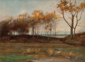 Jackson Park, January 1891