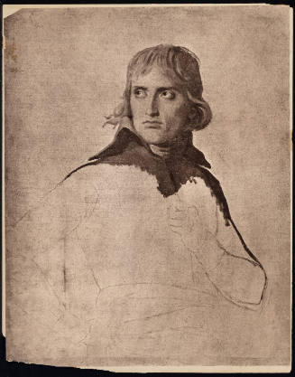 Napoleon (after David)