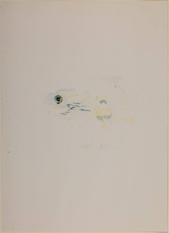 King Salmon II, Fish Box, Blue Horizon