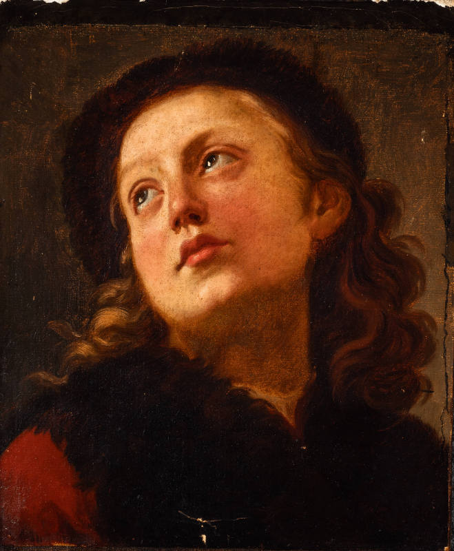 Head of a Young Cavalier