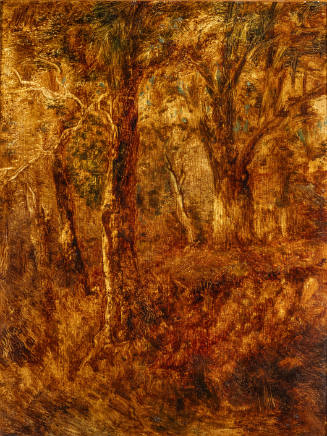 Study of a Grove of Trees