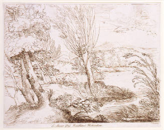 River Landscape with Trees  (after Annibale Carracci)