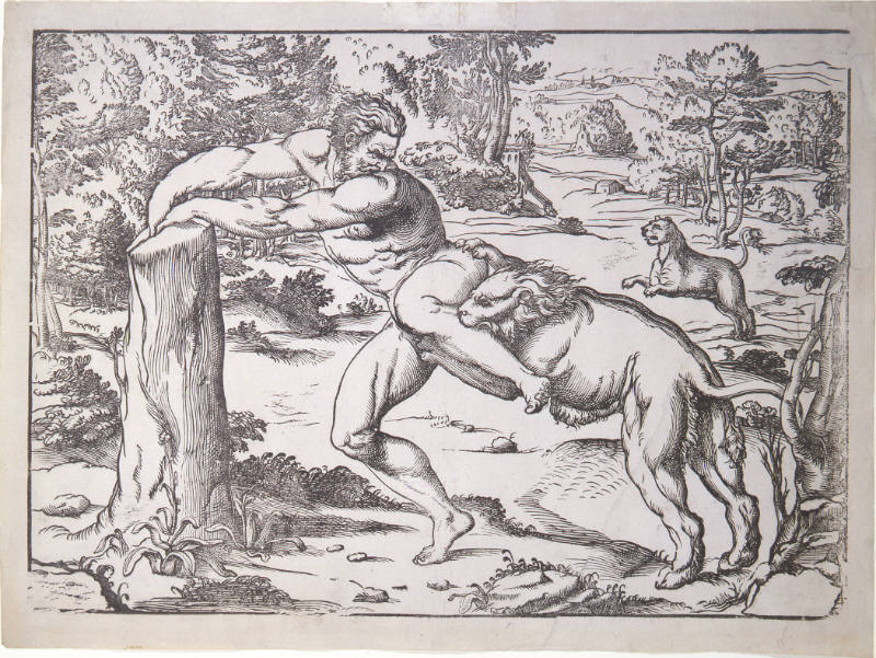 Milo of Croton Attacked by Wild Beasts (after Pordenone)