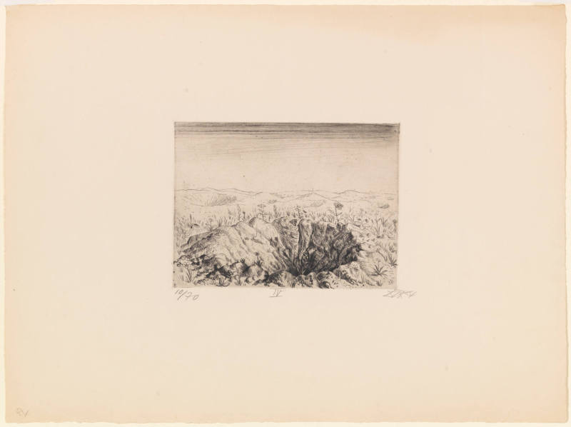Grenade-Trench with Flowers (Spring 1916) (Granattrichter mit Blumen [Frühling 1916])