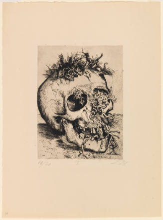 Skull (Schädel)