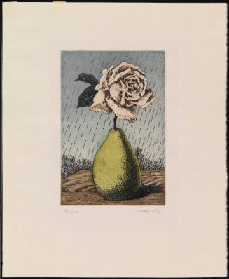 Untitled (Pear and Rose)