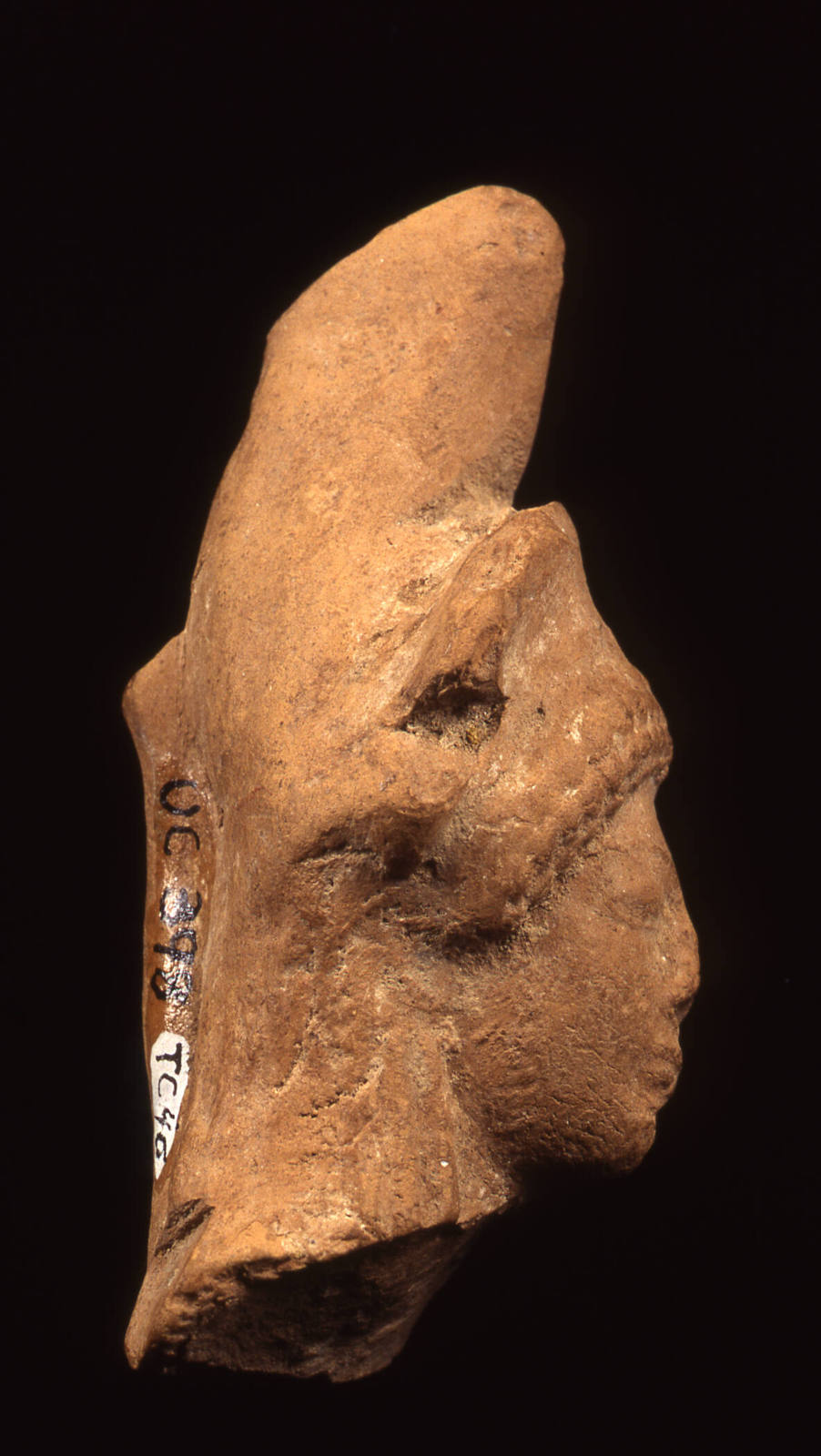 Statuette Fragment: Head of the Helmeted Promachos Athena