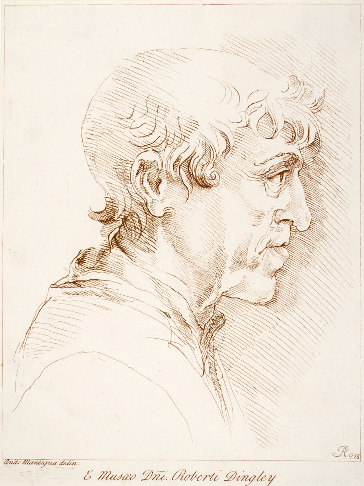 Arian's Head in Profile (after Andrea Mantegna or Bernardo Parentino)