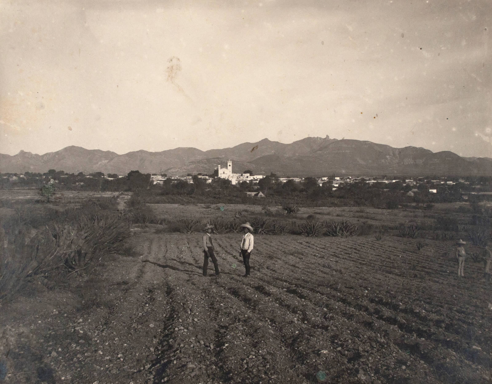 Untitled (Four men in a field)