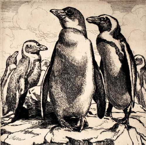 Penguins