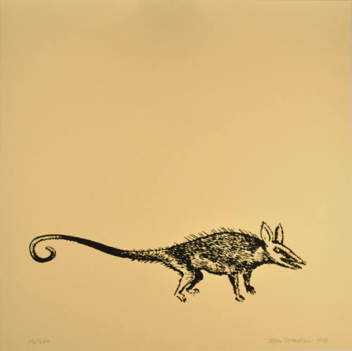 Untitled (Black rat)