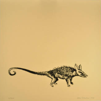 Untitled (Black rat)