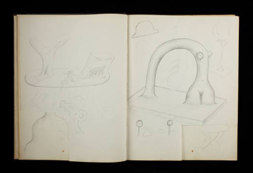 Sketchbook #7, Untitled [leaf 12]