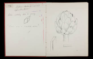 Sketchbook #16, Untitled [leaf 1]