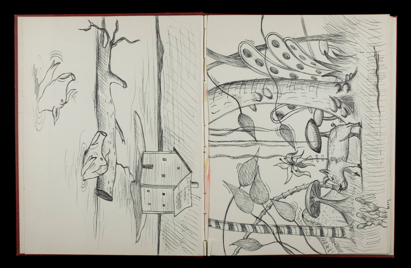 Sketchbook #16, Untitled [leaf 12]