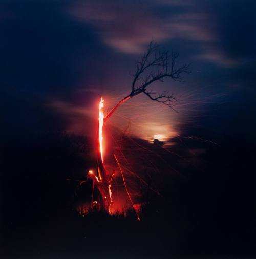 Burning Tree with Ryder Sky, Chase County, Kansas
