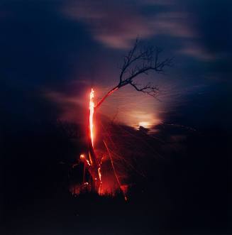 Burning Tree with Ryder Sky, Chase County, Kansas